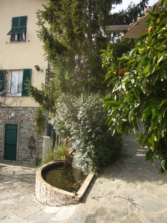 Agriturismo Olivarancio Leivi Экстерьер фото