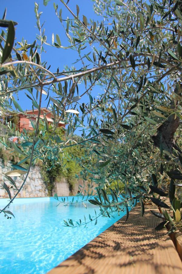 Agriturismo Olivarancio Leivi Экстерьер фото